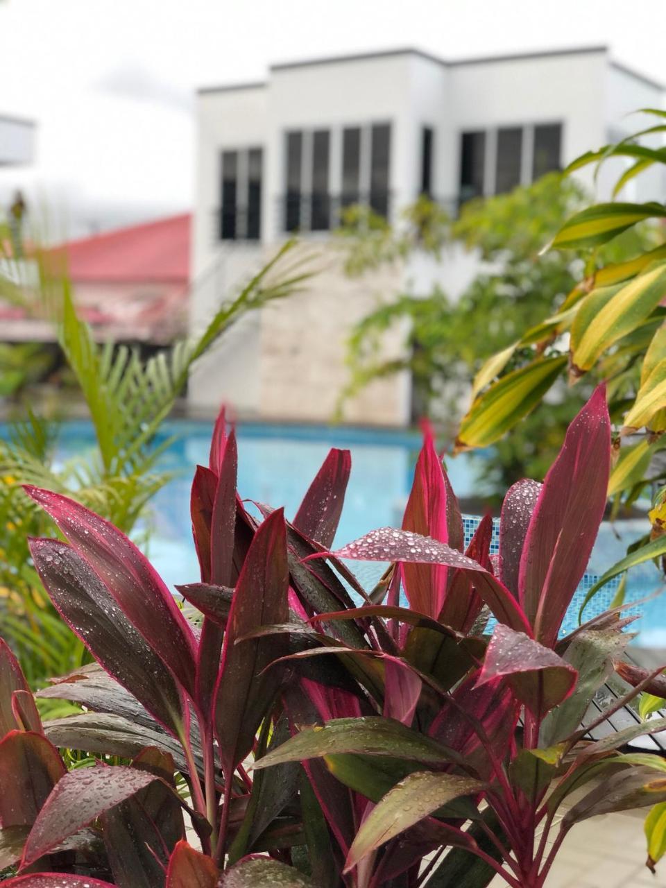 Tucan Resort & Spa Paramaribo Bagian luar foto